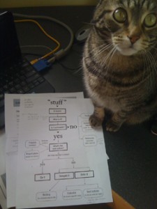My Cat and Getting Thing Done Flowchart